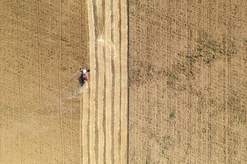 A combine harvester in the field harvests grain. Aerial view.