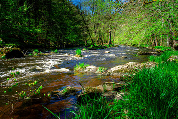 Hiking through Ilztal from Diessenstein to the Schneidermill in the Bavarian Forests Germany