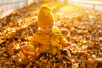 Little boy in autumn clothes playing with autumn leaves in the park