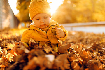 Little cute boy having fun outdoors in the park in autumn