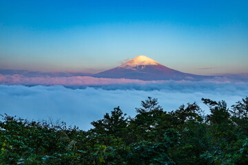 Fototapeta na wymiar 静岡県御殿場市から眺める夜明けの富士山