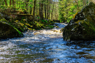 Hiking through Ilztal from Diessenstein to the Schneidermill in the Bavarian Forests Germany