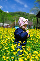 Little girl in a field of flowers