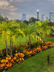 Beautiful garden in a Boston park with background of buildings