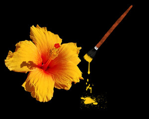 I took photo of hibiscus flower and added the paintbrush and paint