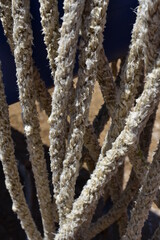 rope on the ship close up