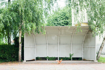 Opuszczony przystanek © Sebastian