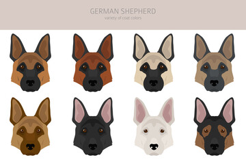 German shepherd dog  in different poses and coat colors clipart