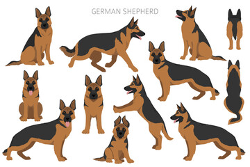 German shepherd dog  in different poses and coat colors clipart
