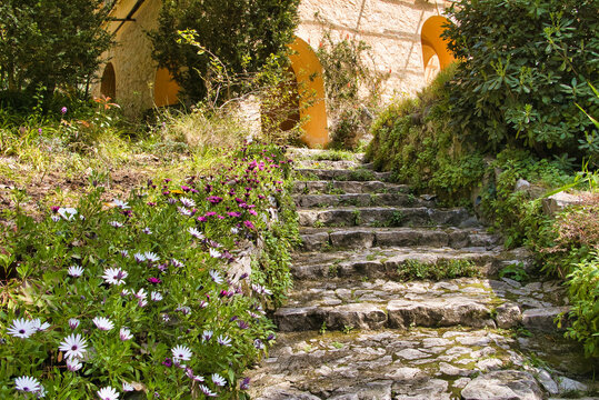 Menton, Jardin, Serre de la Madone