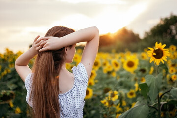 Cute attractive young girl walk through yellow bouquet blooming sunflower field outdoors sunset warm nature background. Woman stopped while travel on weekend copyspace. Summer holiday relax