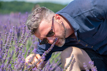 Portrait of a 35-40-year-old man in sunglasses sniffing lavender flowers on the field.