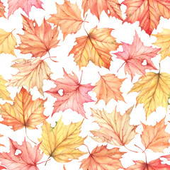 Maple leaves on white background, seamless watercolor pattern of autumn colorful leaves, floral illustration.