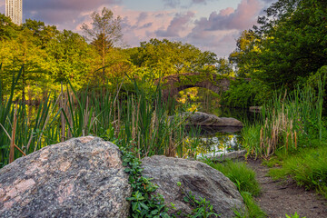 Gapstow Bridge in Central Park in summer