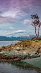 Beautiful sunset at Ensenada Zaratiegui Bay in Tierra del Fuego National Park, near Ushuaia and Beagle Channel, with geological mineral deposits, Patagonia, Argentina, early Autumn.