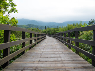 Footbridge of wooden planks in wetland.