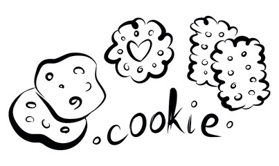 Doodle cookie and lettering coockie on white. Vector illustration. Perfect for dessert menu or food package design, logo.