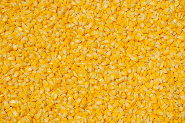 Sweet corn kernels prepared for vegetarian cooking,food background concept
