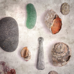stylish textured old paper background with various objects found on beaches 
