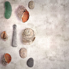 Naklejka premium stylish textured old paper background with various objects found on beaches 