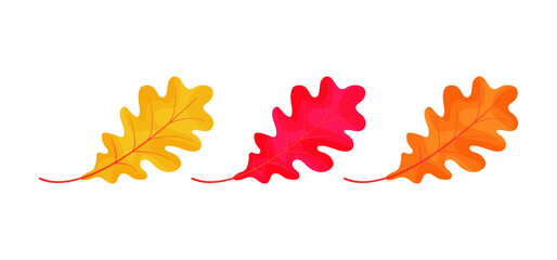 Autumn oak leaves icons isolated on white background. Simple cartoon flat style. Isolated vector illustration. Design for seasonal holiday greeting cards, stickers, logo, web and mobile app