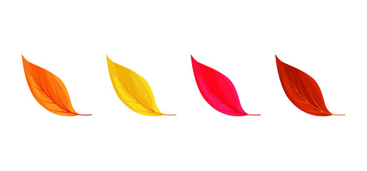 Autumn leaves icons isolated on white background. Simple cartoon flat style. Isolated vector illustration. Design for seasonal holiday greeting card, stickers, logo, web and mobile app.