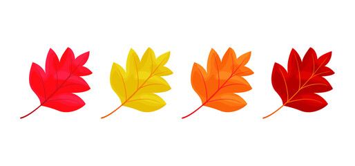 Autumn leaves icons isolated on white background. Simple cartoon flat style. Isolated vector illustration. Design for seasonal holiday greeting cards, stickers, logo, web and mobile app.