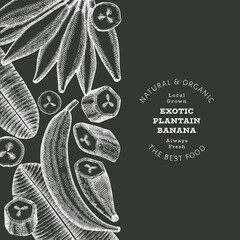 Hand drawn sketch style plantain banner. Organic fresh fruit vector illustration on chalk board. Retro exotic banana fruit design template © lubovchipurko