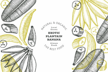 Hand drawn sketch style plantain banner. Organic fresh fruit vector illustration. Retro exotic banana fruit design template © lubovchipurko