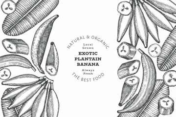 Hand drawn sketch style plantain banner. Organic fresh fruit vector illustration. Retro exotic banana fruit design template © lubovchipurko