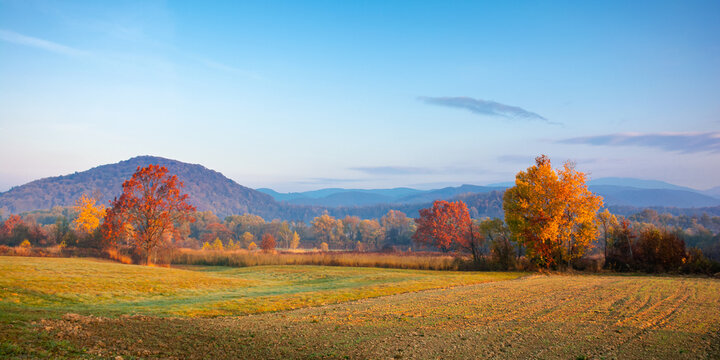 autumnal rural landscape at sunrise. beautiful mountainous countryside in late autumn season. empty fields. trees in red and orange foliage. hazy atmosphere