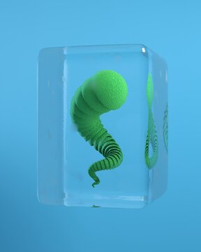 sci-fi looking medusa in a glass cube