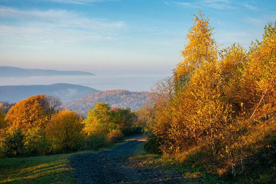 autumnal countryside of carpathian mountains. road in the top of a hill. trees in bright yellow foliage along the way in morning light. foggy valley in the distance. sunny weather with clouds on the s