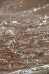 Jets of water in a city fountain on the lake in August