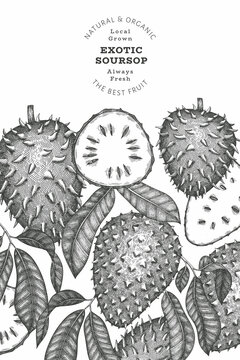 Hand drawn sketch style soursop fruit banner. Organic fresh fruit vector illustration. Retro guanabana design template