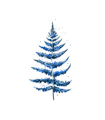Watercolor indigo fern isolated on a white background. Ferns. Wild forest. Herbs. Leaves. Nature. Manual illustration