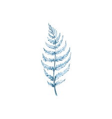 Watercolor fern light blue isolated on a white background of ferns. Wild forest. Botany. Tender leaves. Nature. Manual illustration