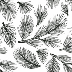 Christmas hand drawn vector seamless pattern. Vintage style botanical illustration. Winter plants xmas banner. Pine background.