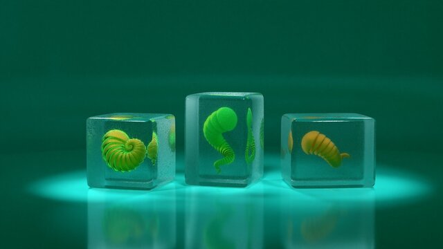 sci-fi looking medusa in a glass cube