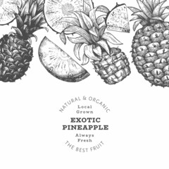 Hand drawn sketch style pineapple banner. Organic fresh fruit vector illustration. Engraved style botanical design template.