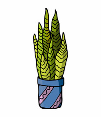 Home plant. Indoor plant in doodle and cartoon style. Home design. Vector hand drawing.