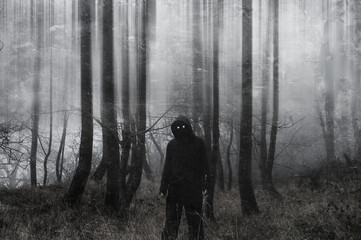 A mysterious spooky hooded figure with glowing eyes standing in a forest. With an artistic, blurred, textured edit. - obrazy, fototapety, plakaty