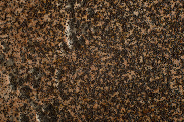 Close-up of rusty rough surface, textured grunge background. Macro photo of rust on a tile, top view.