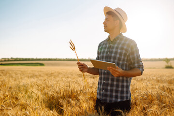 Modern agriculture technology. Smart farming concept. Farmer checking wheat field progress, holding tablet using internet.