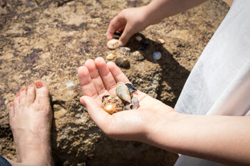 Girl showing some marine shells with her left hand.