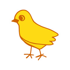 chicken is yellow. isolated vector