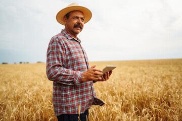 Naklejka na ściany i meble Modern agriculture technology. Smart farming concept. Farmer checking wheat field progress, holding tablet using internet.