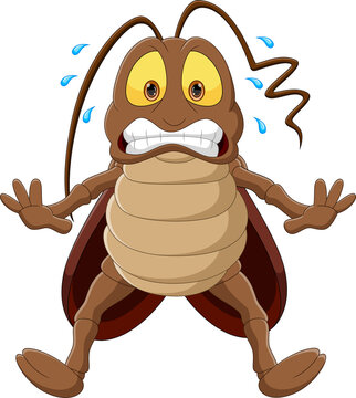 Scared Cockroach Cartoon On White Background