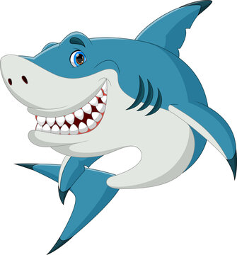 cartoon cute shark posing smiling isolated on white background
