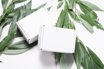 White cardboard carton box with fresh tree branch, ecological package